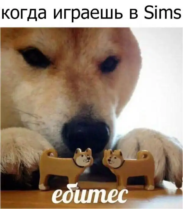 Обеденные приколы :)