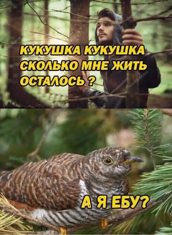 Нестандартный юмор :)