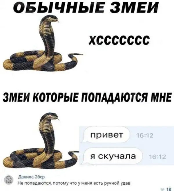 Нестандартный юмор :)