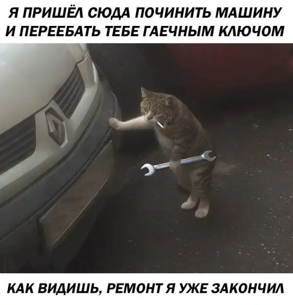 Нестандартный юмор :)