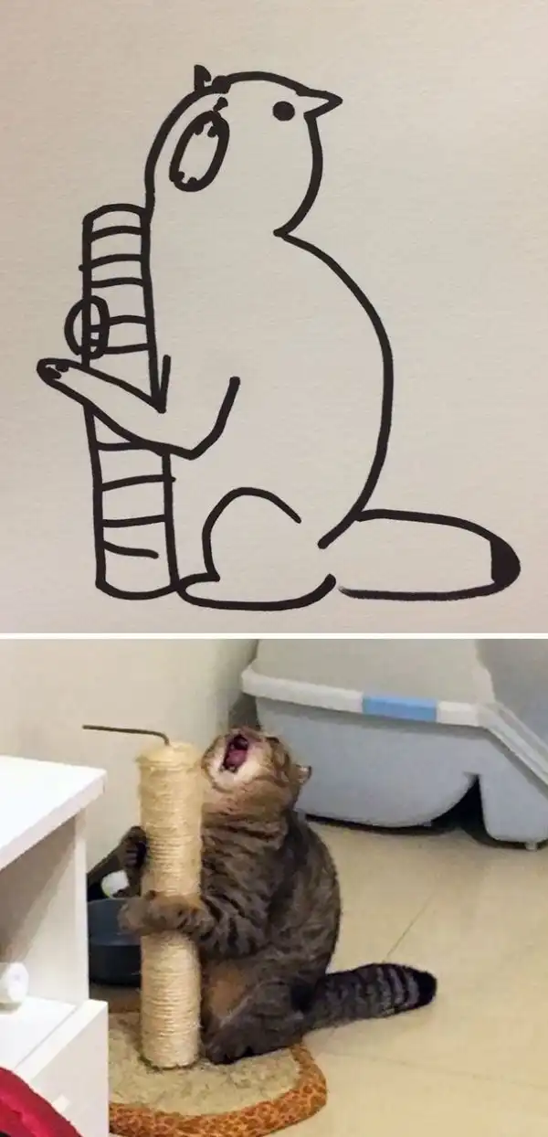 Художник с чувством юмора превращает глупые фото котов в рисунки еще глупее