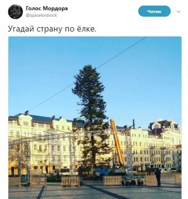 О политике +313
