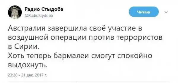 О политике +325