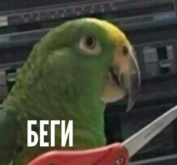 Обеденные приколы :)