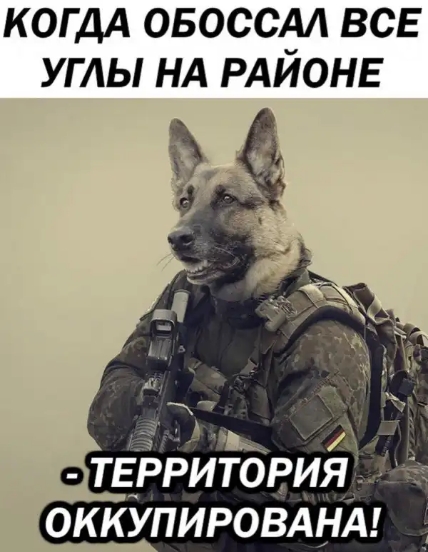 Нестандартный юмор :)