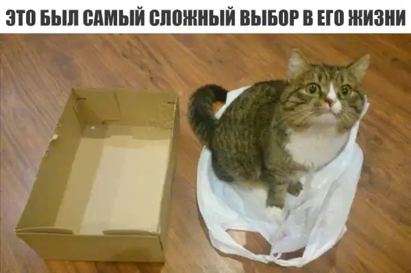 Нестандартный юмор :)