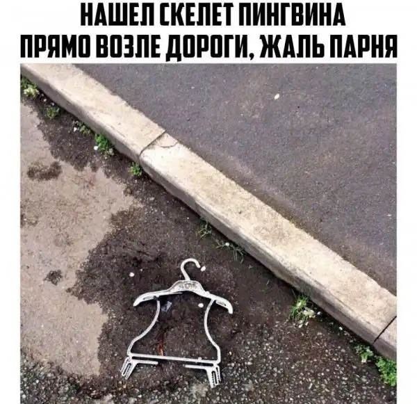 Нестандартный юмор :)
