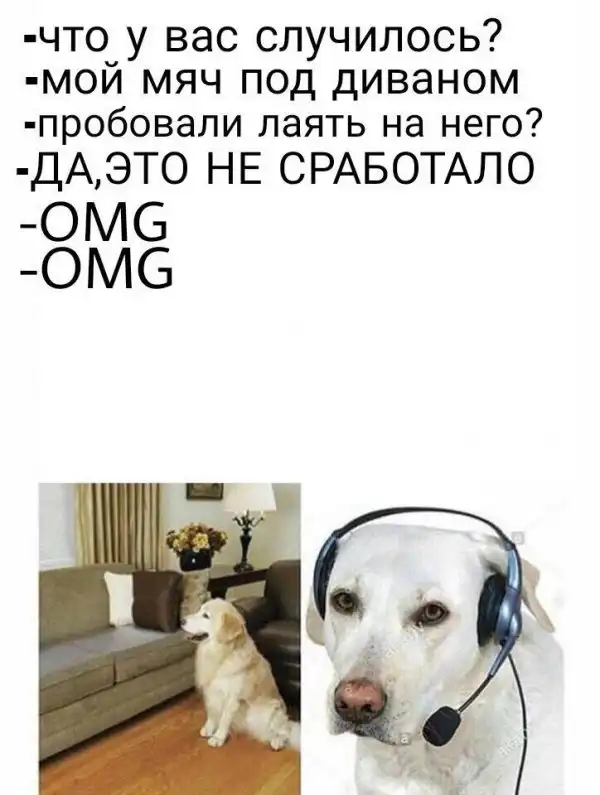 Нестандартный юмор :)