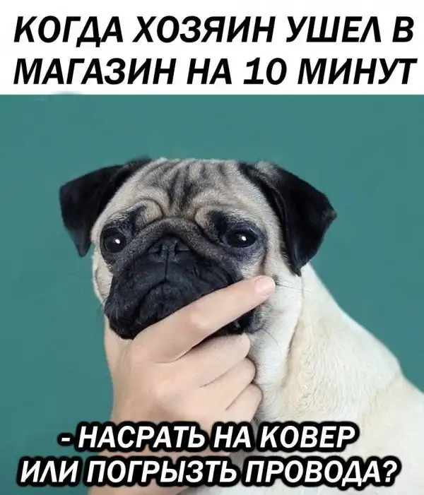 Обеденные приколы :)