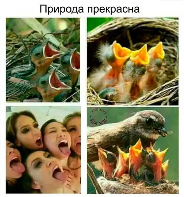 Обеденные приколы :)