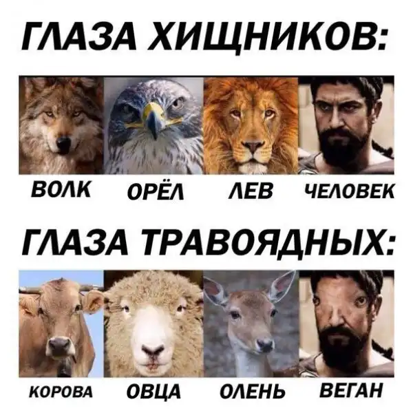 Обеденные приколы :)