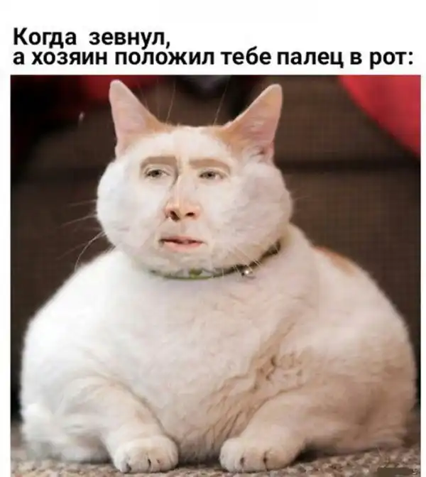 Обеденные приколы :)