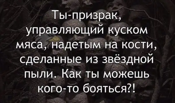 Звёздная пыль и мы