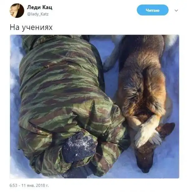 О политике +343