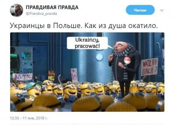 О политике +343