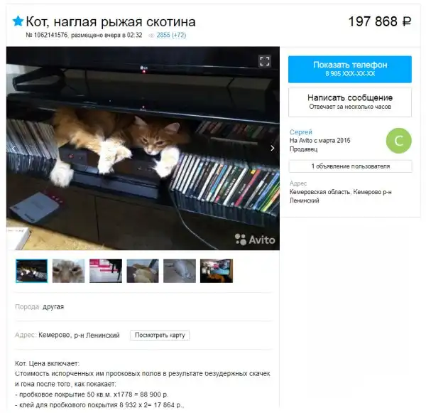 Юмор с сервиса бесплатных объявлений
