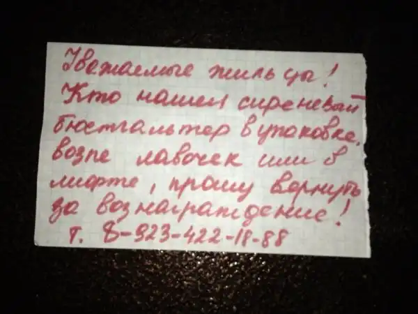 Скотсети и прочие интернеты