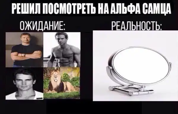 Нестандартный юмор :)