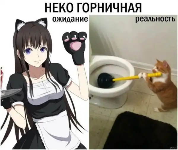 Нестандартный юмор :)