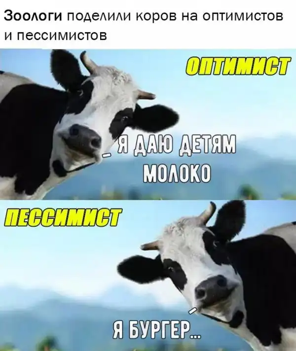 Нестандартный юмор :)