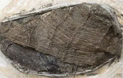 На дне швейцарского озера нашли дырявый ботинок, выброшенный пять тысяч лет назад