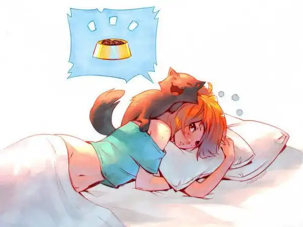 Девчата 2D