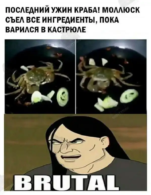 Нестандартный юмор :)