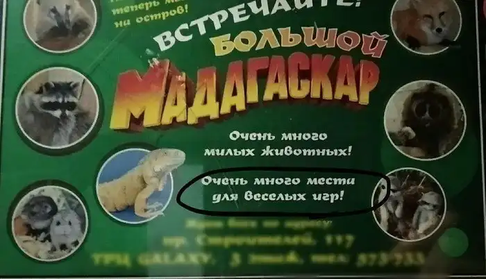 Когда заказчик просит поиграться со шрифтами Когда заказчик просит поиграться со шрифтами