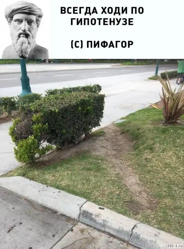 От работы тяжёлой не ной, пост с картинками для отдыха открой!