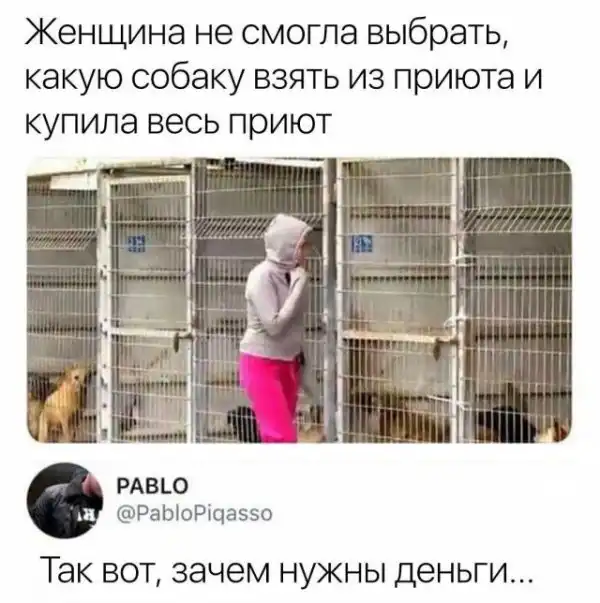 Смешные картинки с подписями
