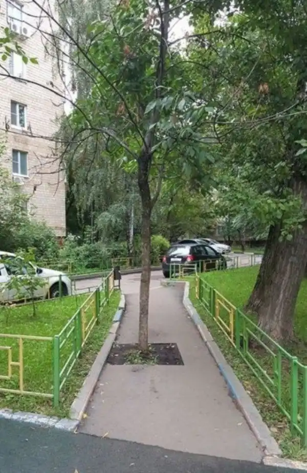 Удивительные снимки с российских просторов