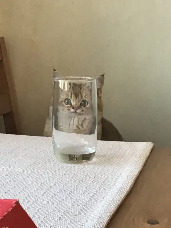 Нестандартный юмор :)