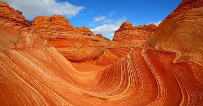«Аризонская волна»: уникальный песчаный заповедник США