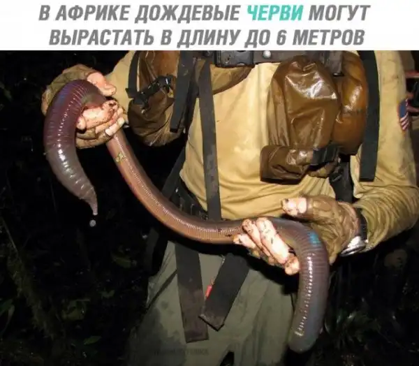 Мерзости пост