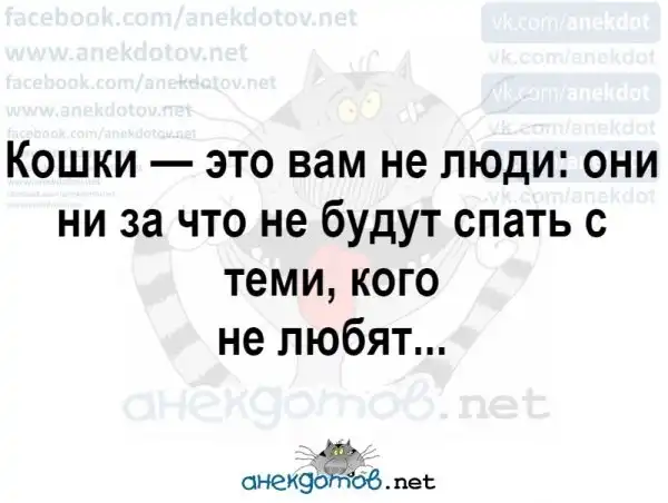 Анекдоты - лучшее от "анекдотовнет"