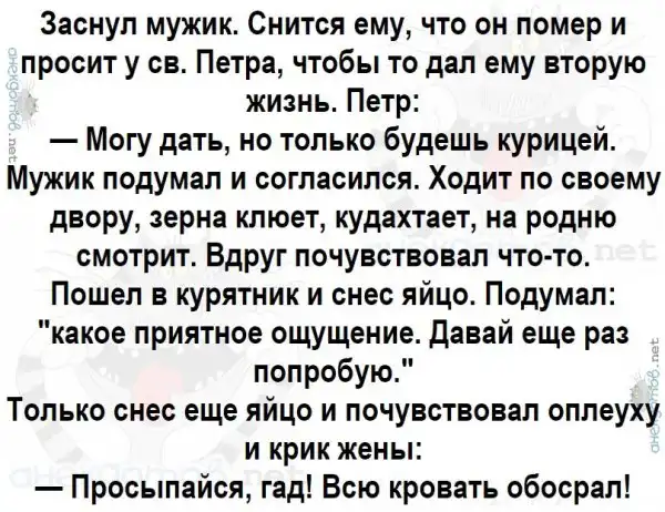 Анекдоты - лучшее от "анекдотовнет"