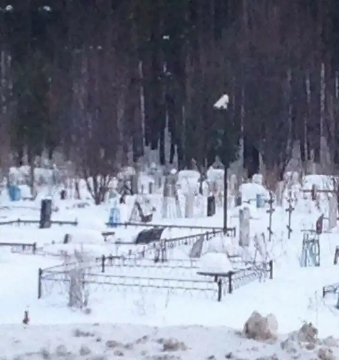 Самые странные вещи, которыми люди занимаются на кладбищах