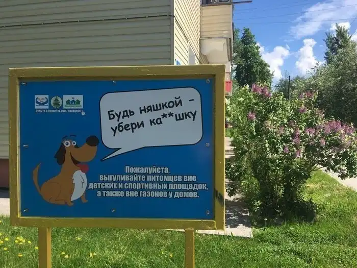 Социалочка: когда реклама удалась Социалочка: когда реклама удалась