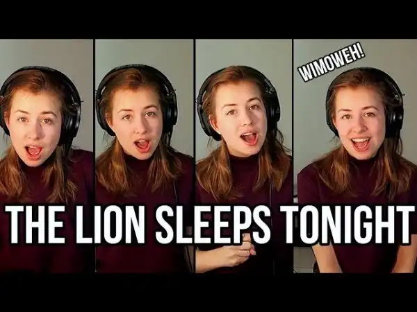 The Lion Sleeps Tonight (Cover)