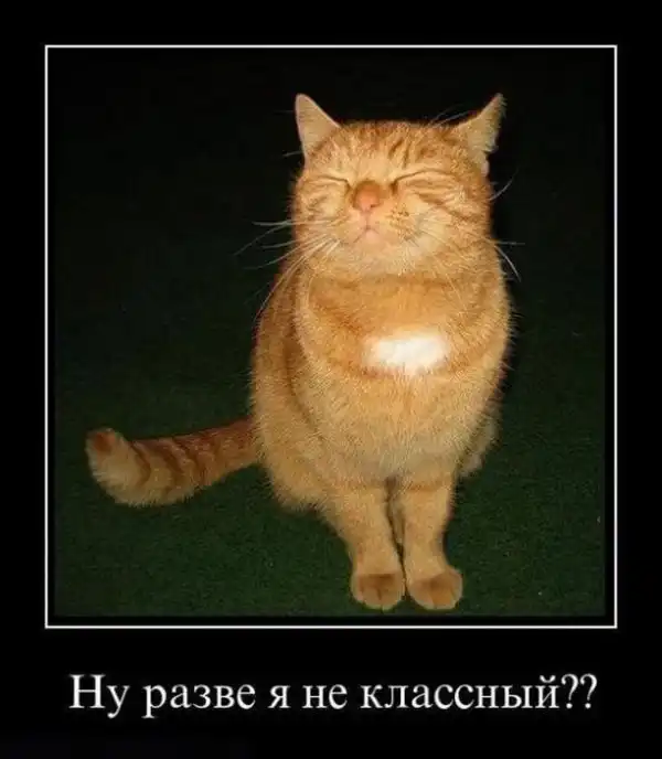 Прикольные и просто красивые картинки