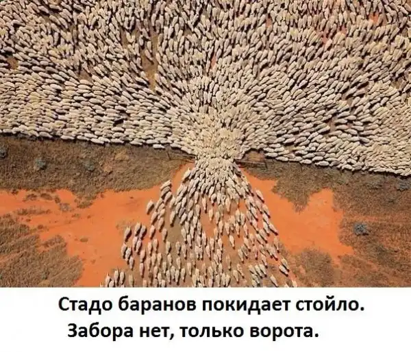 Прикольные и просто красивые картинки