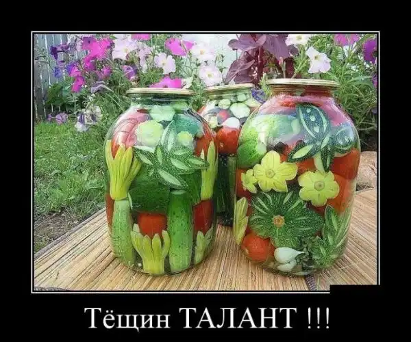 Прикольные и просто красивые картинки