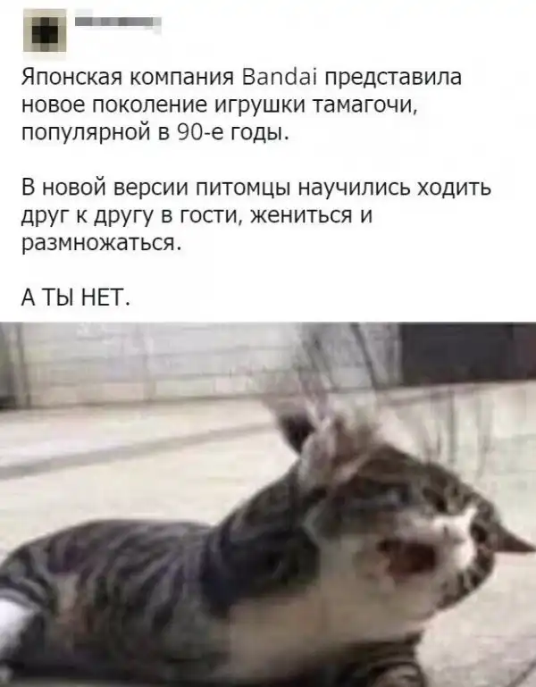 Скрины из социальных сетей