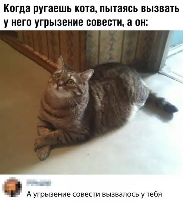 Скрины из социальных сетей