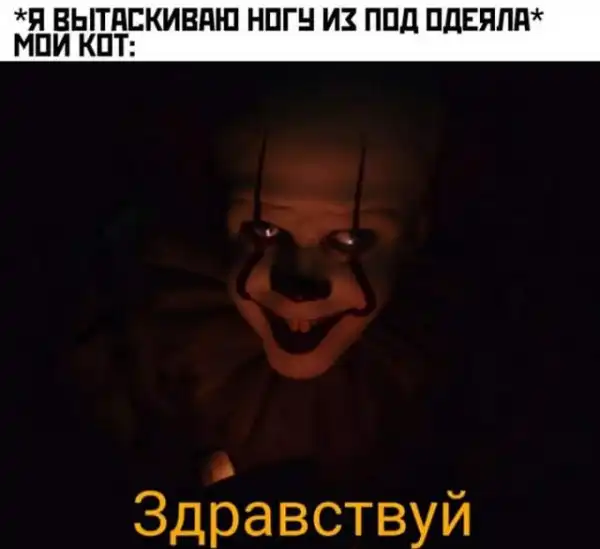 Немного картинок