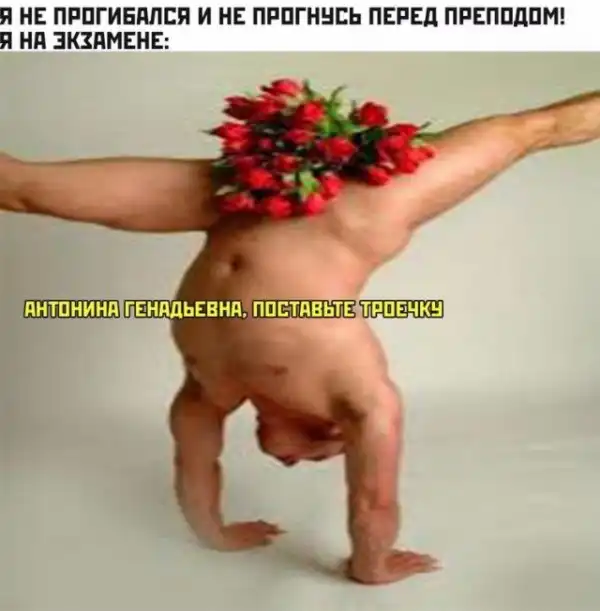 Немного картинок