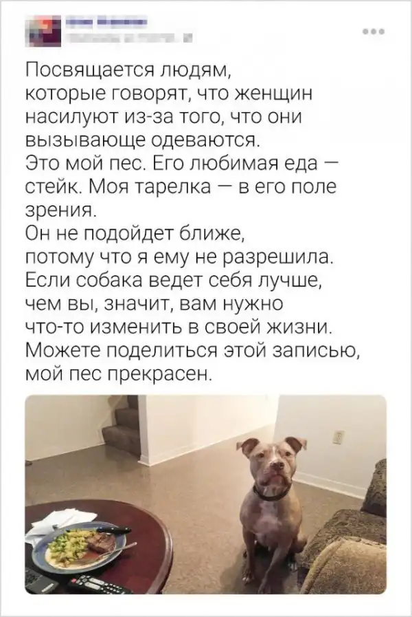 Твиты про людей, которые не лезут за словом в карман