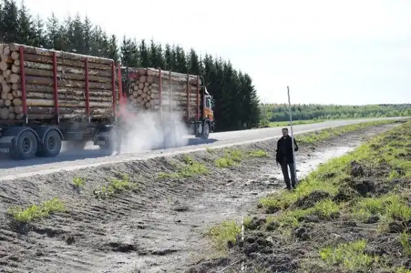 В Харовском районе нашли 300-килограммового каменного идола в придорожной канаве