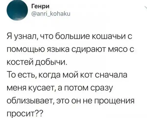 20 причин, по которым котов лучше не злить 20 причин, по которым котов лучше не злить