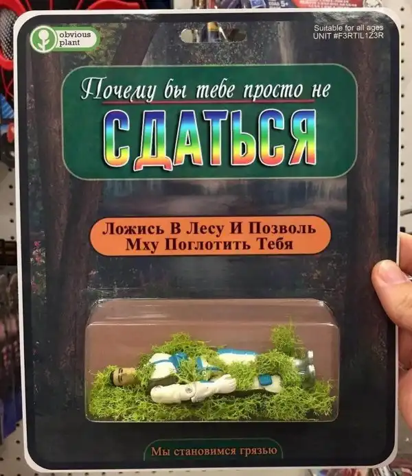 картинки
